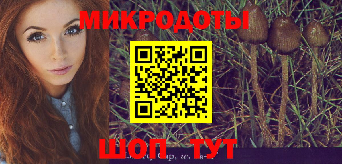 Галлюциногенные грибы Cubensis Рославль
