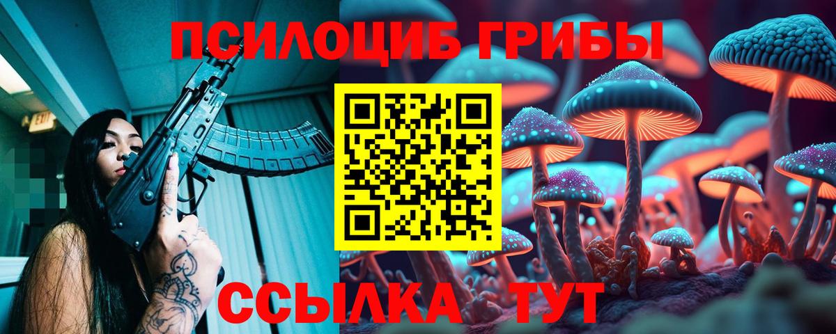 Галлюциногенные грибы Psilocybe  Вход с VPN  Галлюциногенные грибы Psilocybe  Рославль 